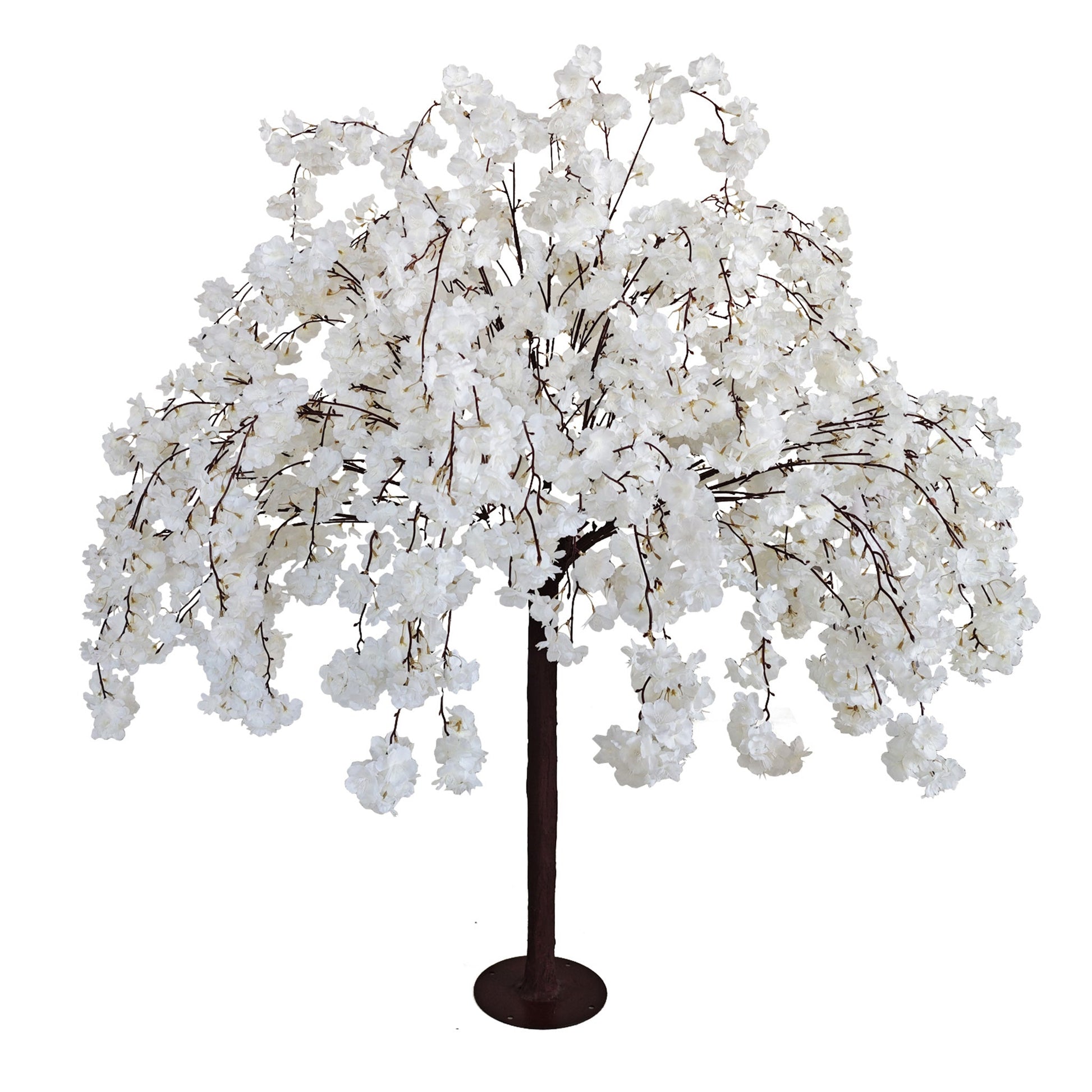 5ft White Weeping Cherry Blossom Tree