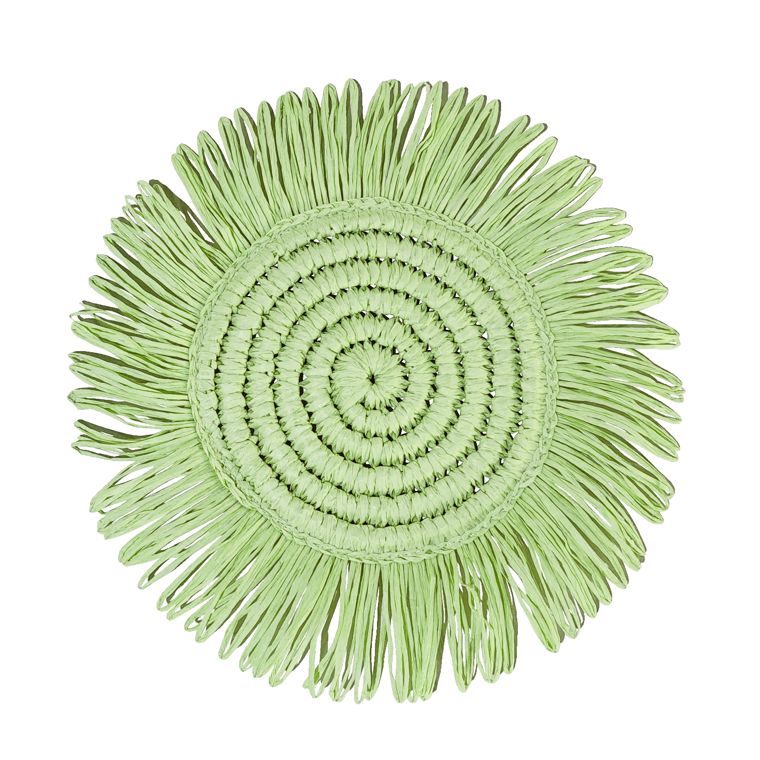 4pc/set Woven Fringe 15" Placemats - Sage Green