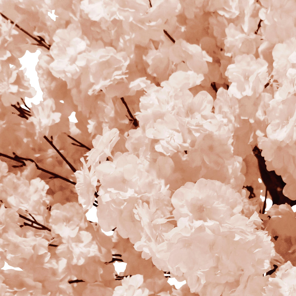 5ft Blush Cherry Blossom Tree Backdrop Frame Stand