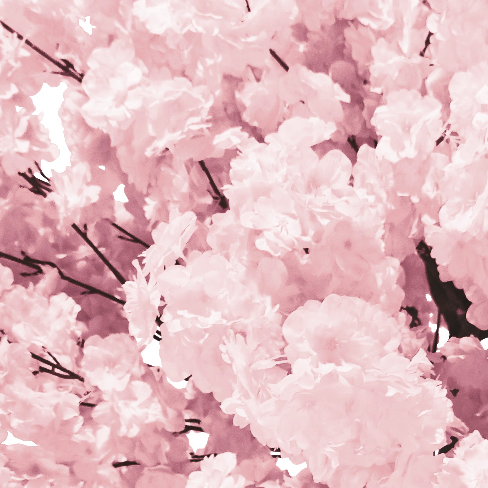 5ft Pink Cherry Blossom Tree Backdrop Frame Stand