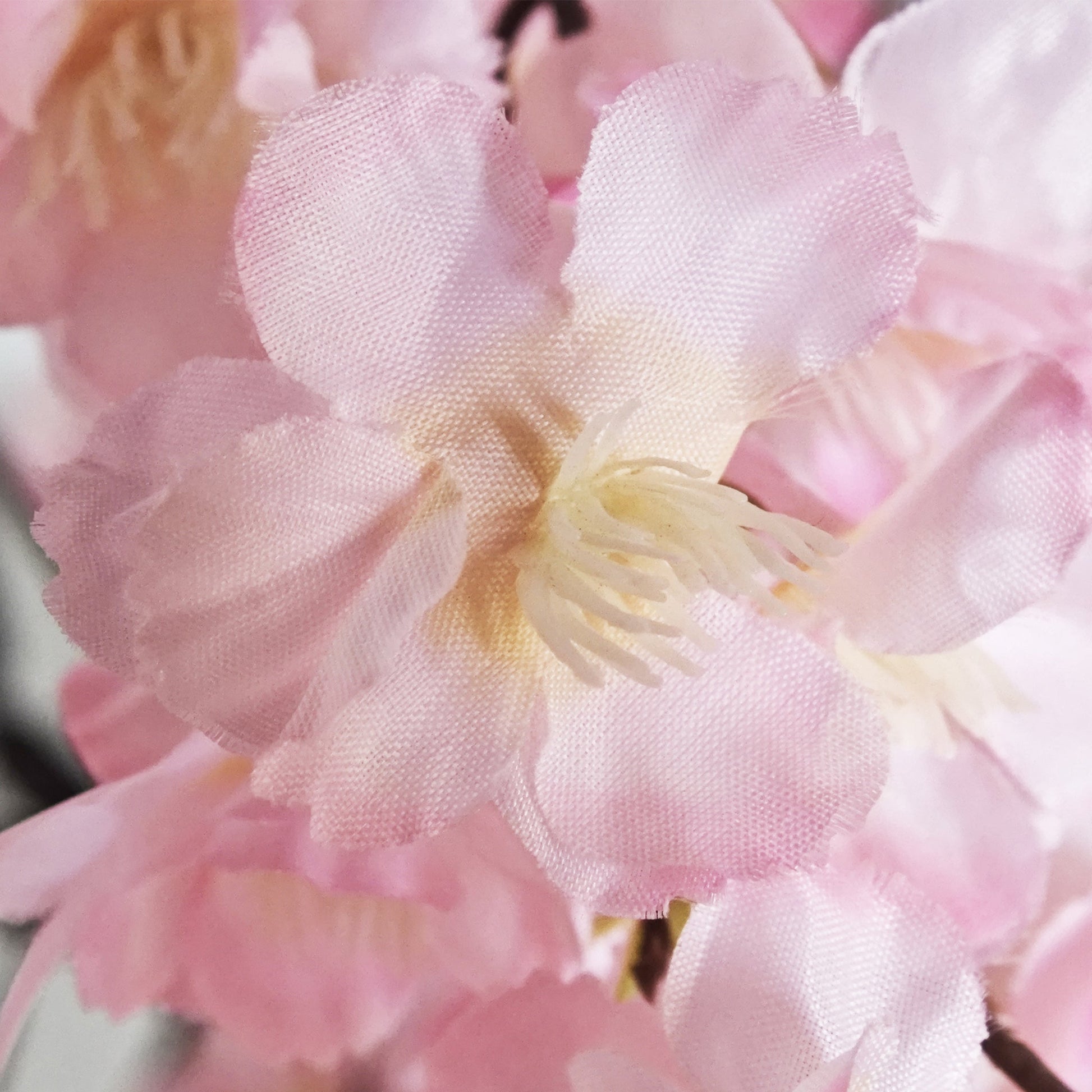 5ft Pink Weeping Cherry Blossom Tree