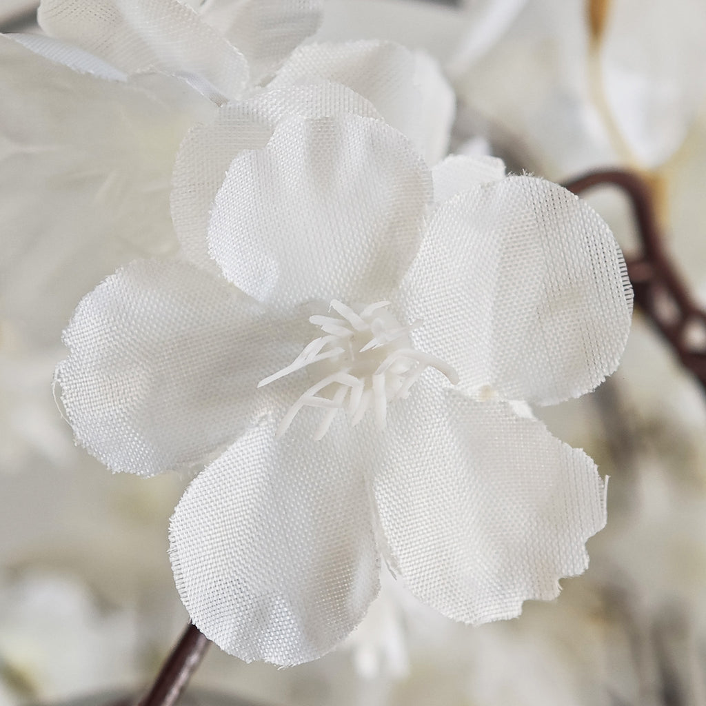 5ft White Weeping Cherry Blossom Tree