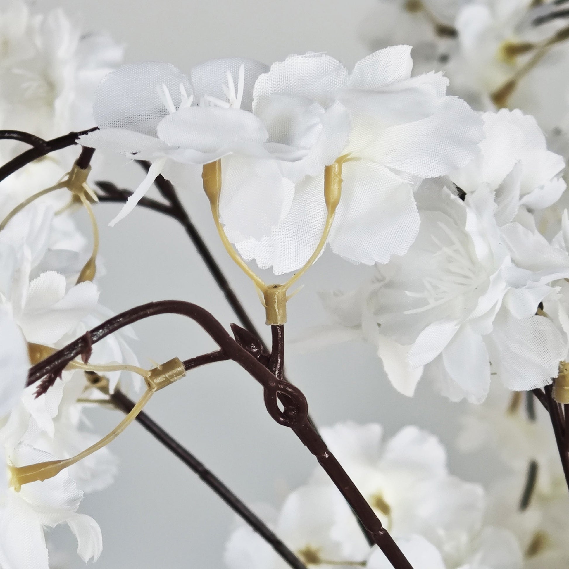 5ft White Weeping Cherry Blossom Tree