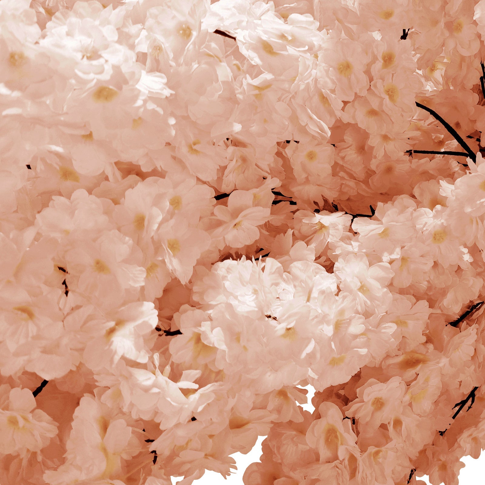 9.5ft Blush Cherry Blossom Tree Backdrop Frame Stand