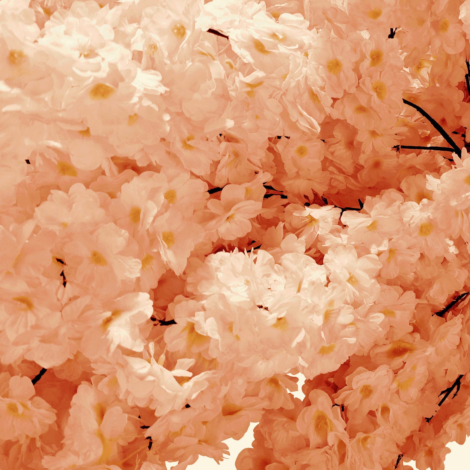 9.5ft Champagne Cherry Blossom Tree Backdrop Frame Stand