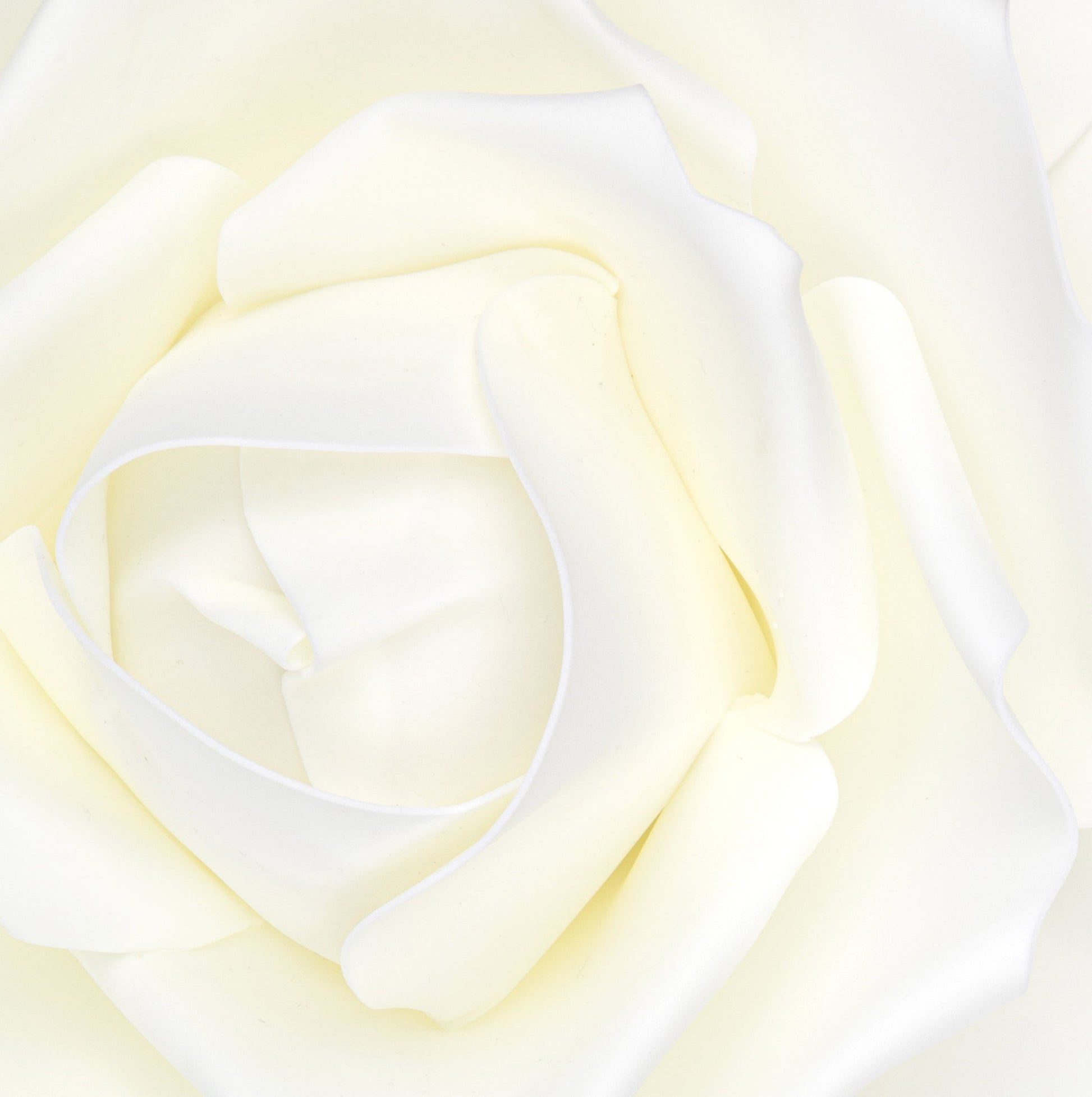Large Foam Rose Wall Decor 40 cm - Ivory