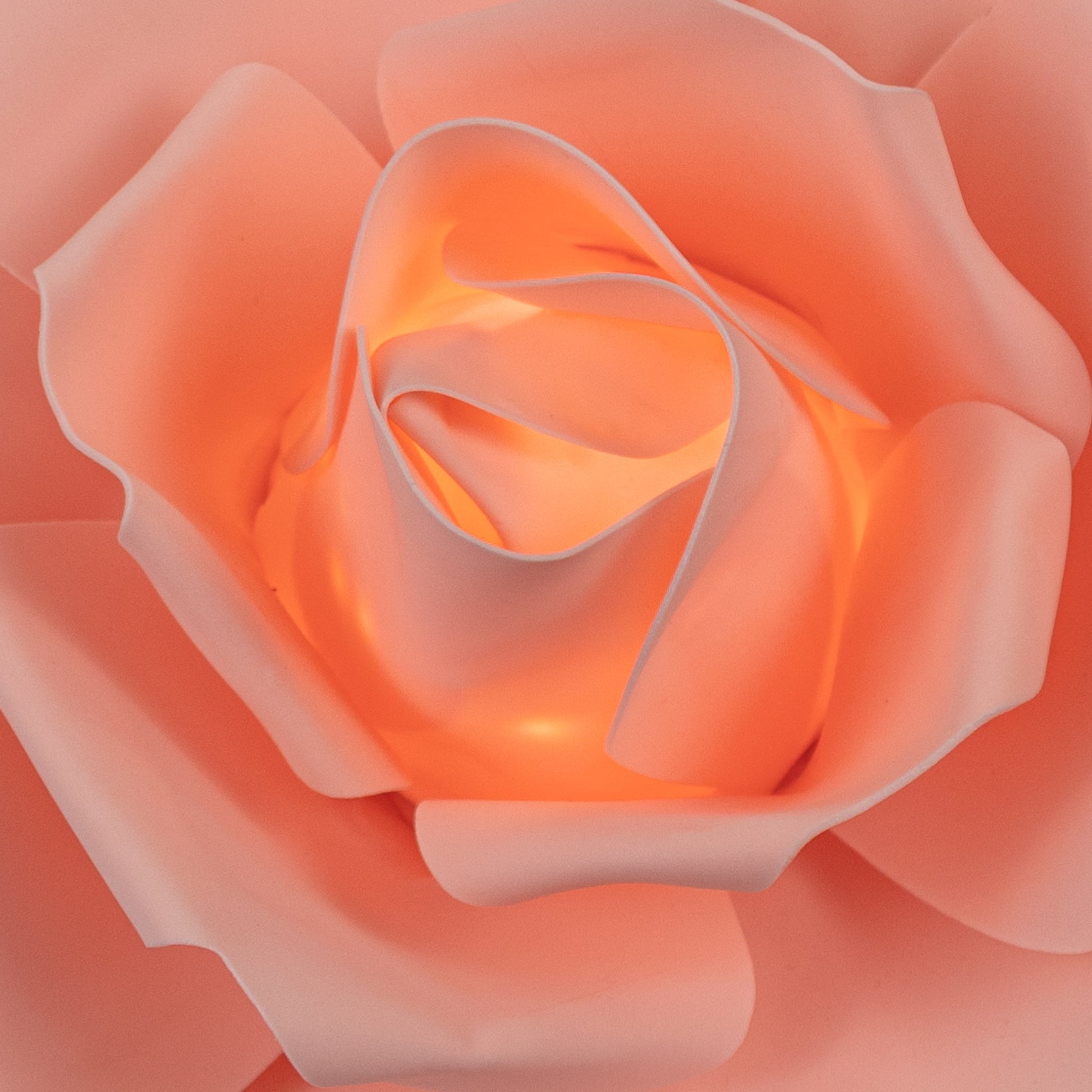Lighted Large Foam Rose Wall Decor 40 cm - Blush
