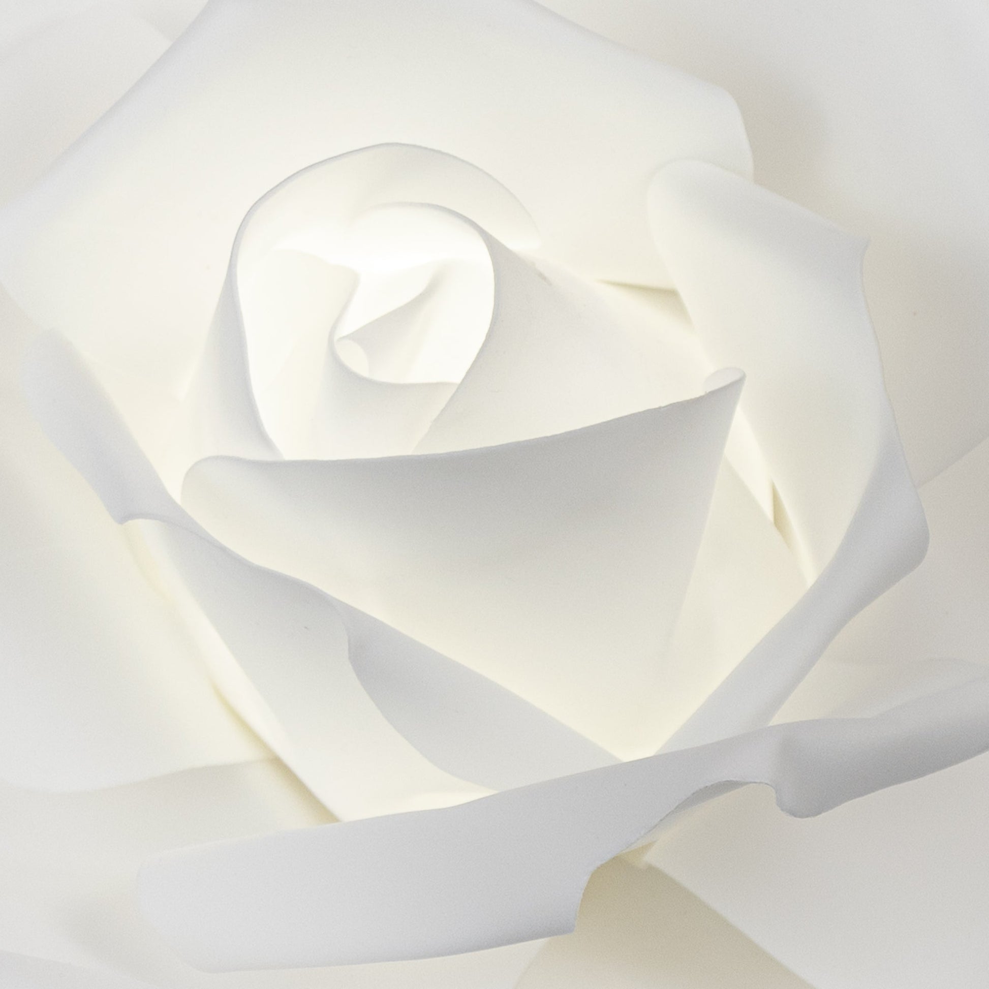 Lighted Large Foam Rose Wall Decor 50 cm - White