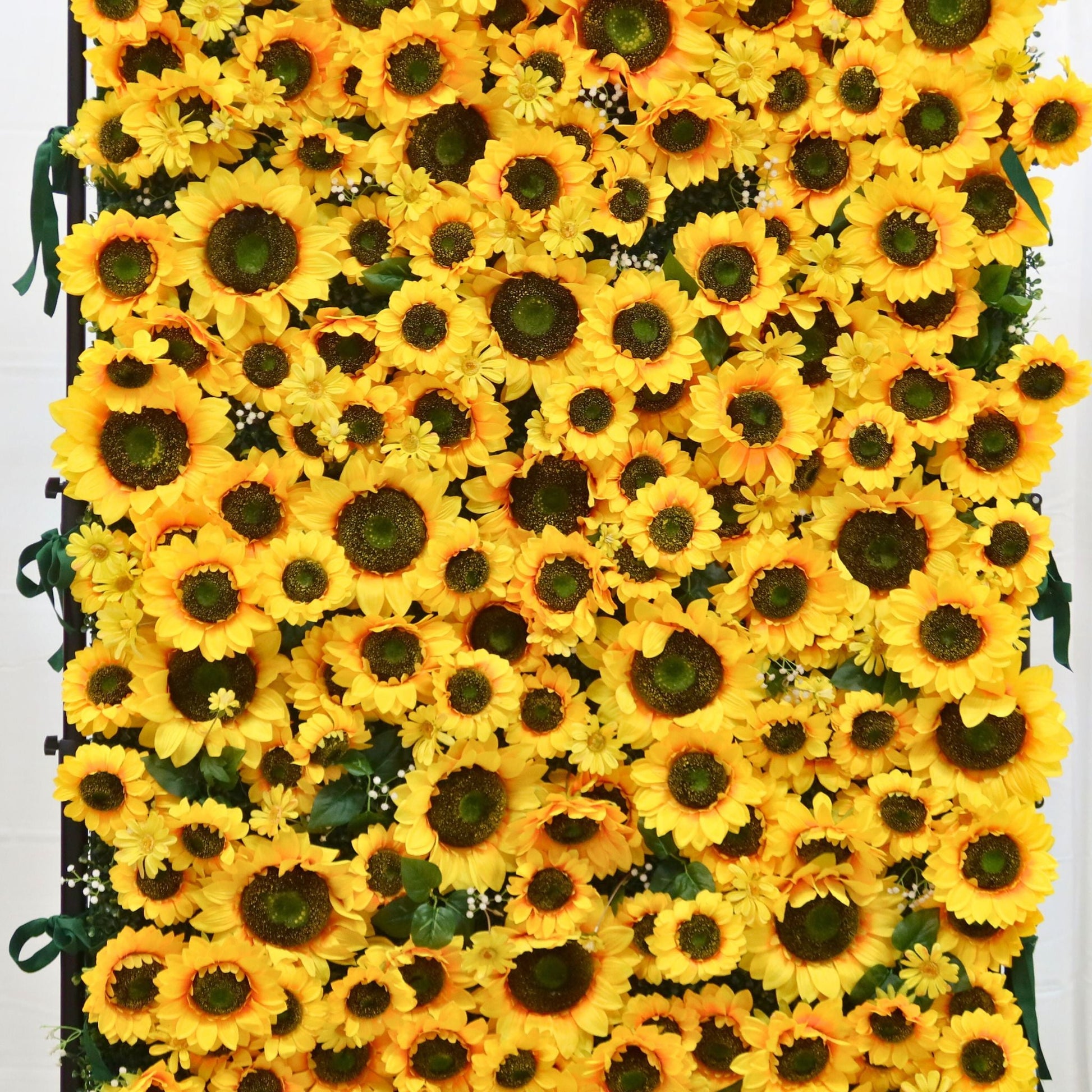 Premium Sunflower Wall Roll Up Backdrop 8ft x 4ft